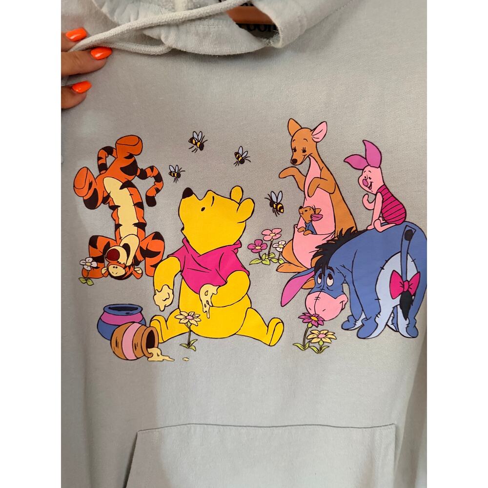 Disney Winnie the Pooh Friends Hoodie Jade Green Juniors 3XL Tigger Eeyore